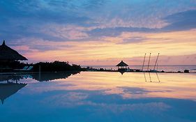 Como Parrot Cay